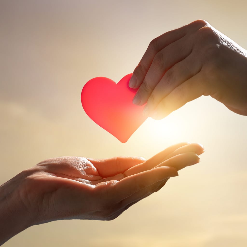 The Power of Small Donations: How Every Bit Helps