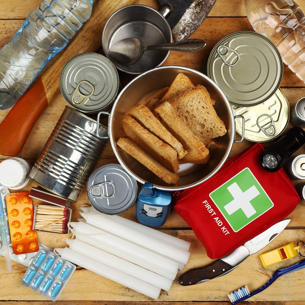 Emergency Food Resources for Disaster Relief