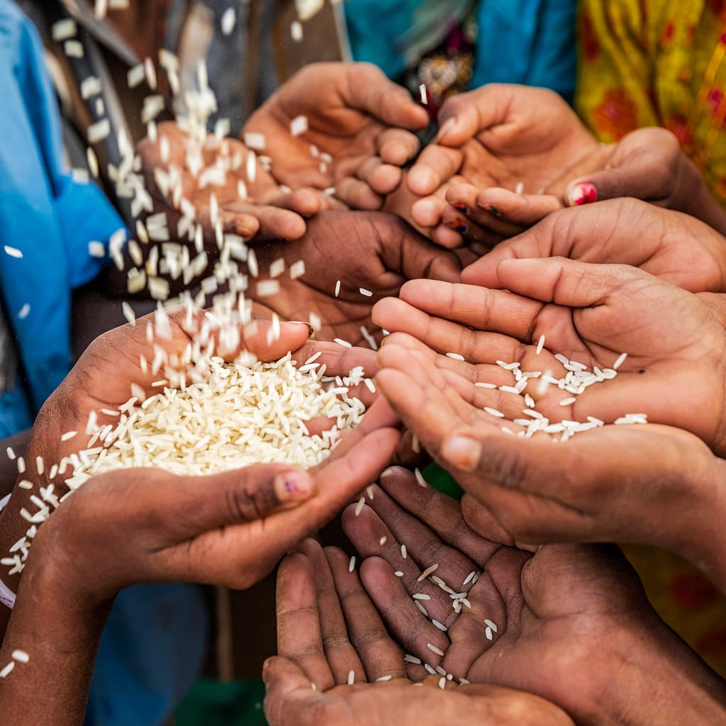 Hunger Awareness Campaigns to Support